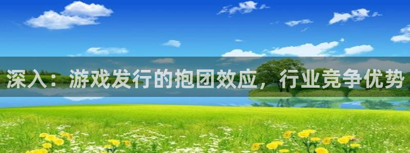 蓝狮电子商务有限公司怎么样：深入：游戏发行的抱团效应，行业竞争优势