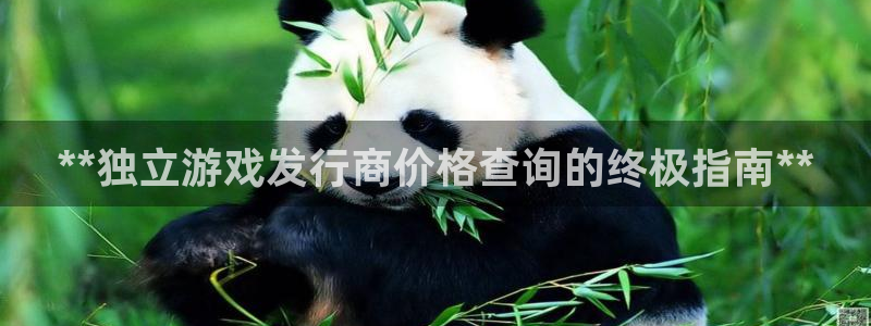 蓝狮是哪个国家的衣服品牌：**独立游戏发行商价格查询的终极指南**