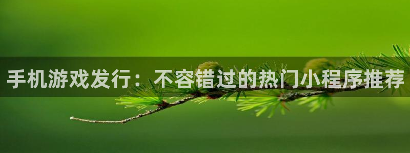 法国蓝狮官网：手机游戏发行：不容错过的热门小程序推荐