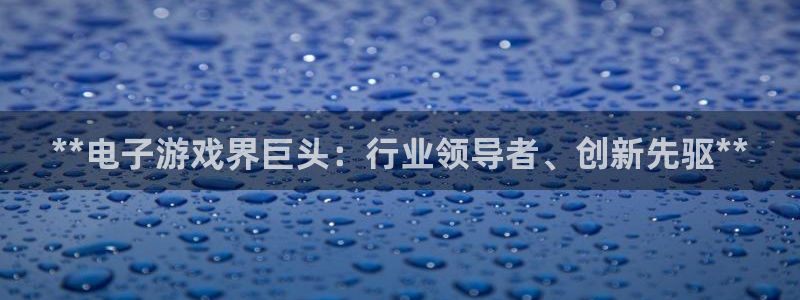 蓝狮衣服怎么样：**电子游戏界巨头：行业领导者、创新先驱**