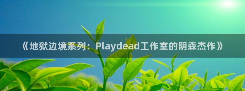 广州蓝狮足球俱乐部：《地狱边境系列：Playdead工作室的阴森杰作》