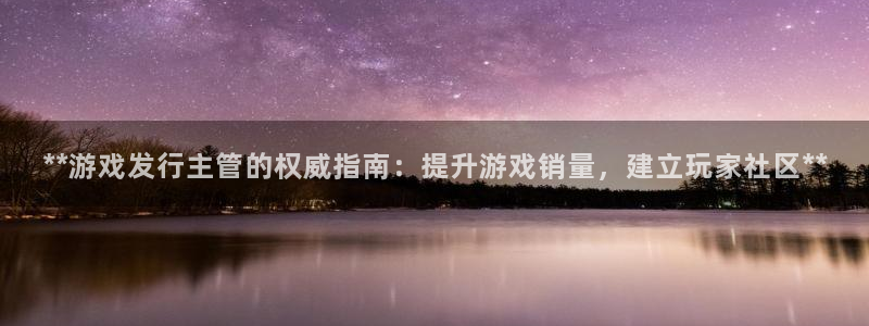 lvnces蓝狮衣服：**游戏发行主管的权威指南：提升游戏销量，建立玩家社区**