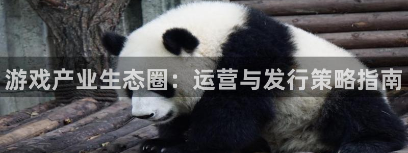 蓝狮子财经丛书：游戏产业生态圈：运营与发行策略指南