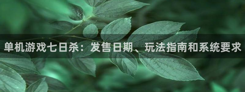 广州蓝狮网络科技有限公司招聘：单机游戏七日杀：发售日期、玩法指南和系统要求