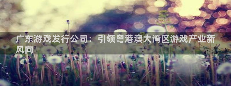 蓝狮在线登录注册账号失败怎么办：广东游戏发行公司：引领粤港澳大湾区游戏产业新
风向