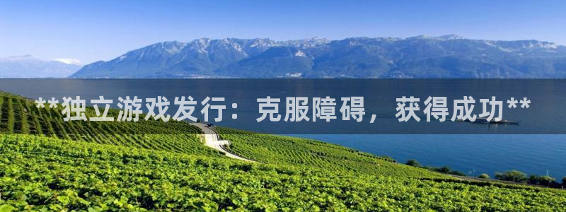 蓝狮子寓意：**独立游戏发行：克服障碍，获得成功**