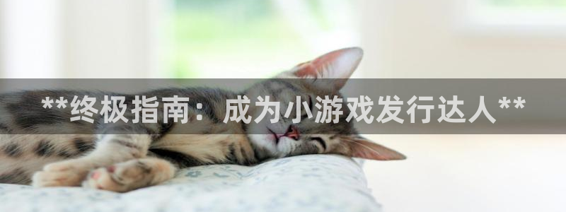 蓝狮在线代理注册不了：**终极指南：成为小游戏发行达人**