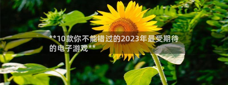 蓝狮子文化游戏：**10款你不能错过的2023年最受期待
的电子游戏**