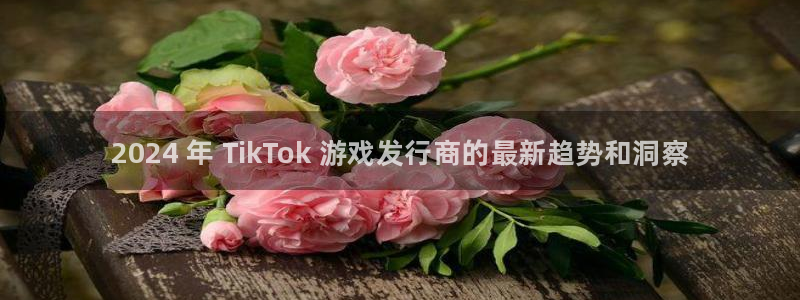 蓝狮在线登录注册账号密码：2024 年 TikTok 游戏发行商的最新趋势和洞察