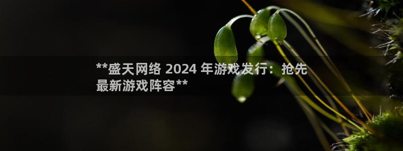 蓝狮集团是什么企业：**盛天网络 2024 年游戏发行：抢先
最新游戏阵容**