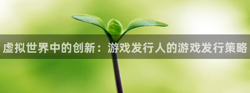 蓝狮在线游戏怎么注册：虚拟世界中的创新：游戏发行人的游戏发行策略