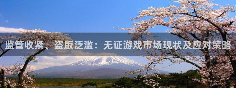 蓝狮在线平台代理条件如何：监管收紧、盗版泛滥：无证游戏市场现状及应对策略