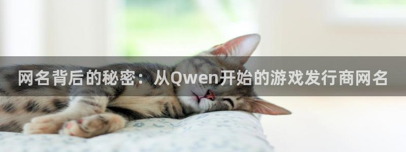 蓝狮子文化创意有限公司：网名背后的秘密：从Qwen开始的游戏发行商网名