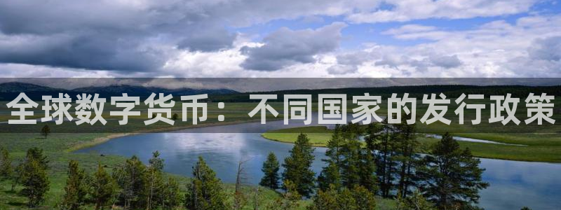 法国蓝狮lvnces是奢侈品吗：全球数字货币：不同国家的发行政策