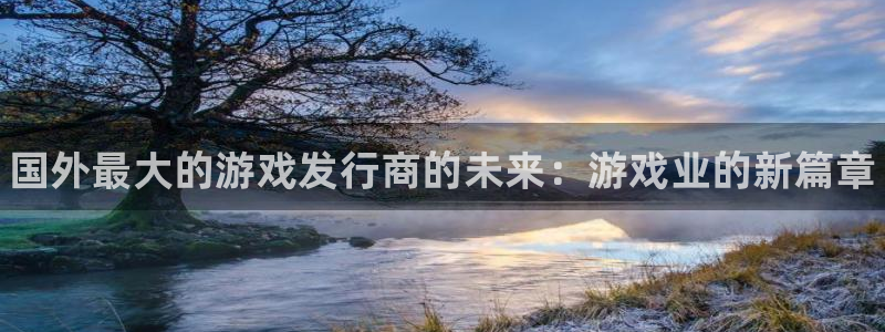 蓝狮在线代理注册：国外最大的游戏发行商的未来：游戏业的新篇章