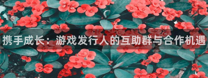 蓝狮服装：携手成长：游戏发行人的互助群与合作机遇
