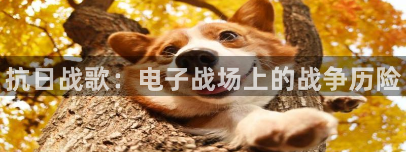 蓝狮子图片高清图片